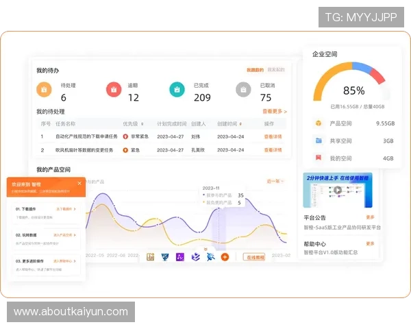 开云网页版意见反馈功能使用技巧及常见问题解答分析