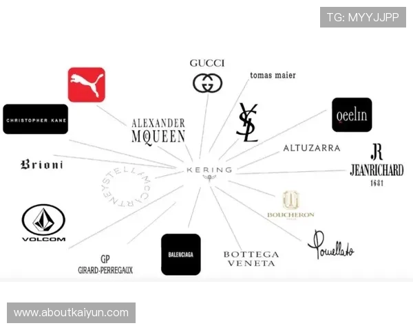 开云中国官方品牌合作策略及未来发展规划深度分析