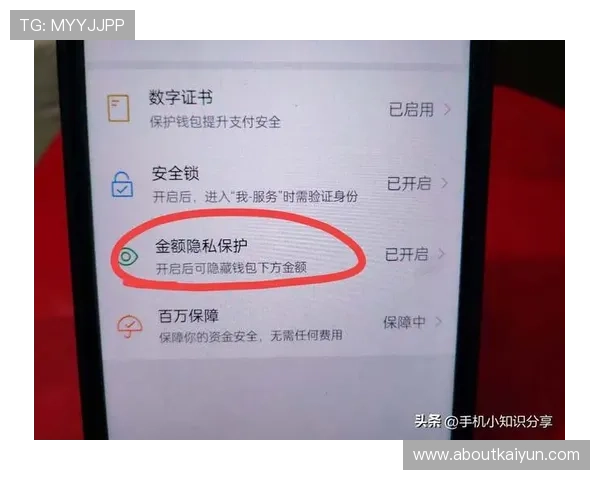 开云棋牌客户端账号安全保护措施，保障您的个人信息安全