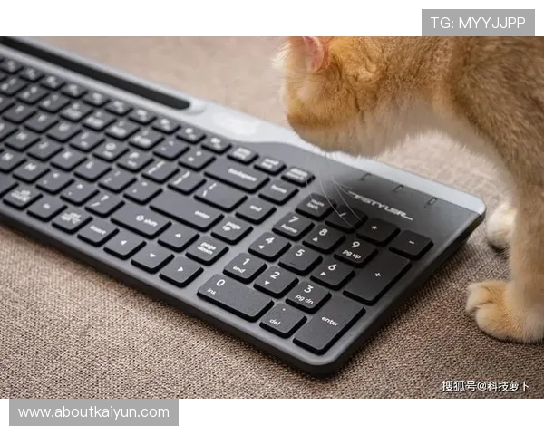 开云体育电脑网址多设备兼容性介绍,支持电脑、平板和手机多平台无缝切换 开云体育电脑网址多设备兼容性介绍,支持电脑、平板和手机多平台无缝切换