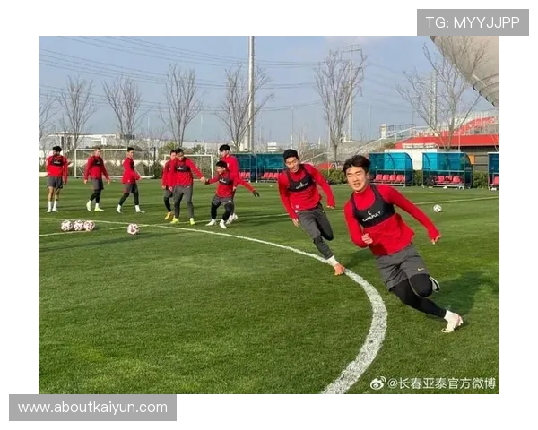 用户眼中的开云体育下载，评价背后的真相与故事